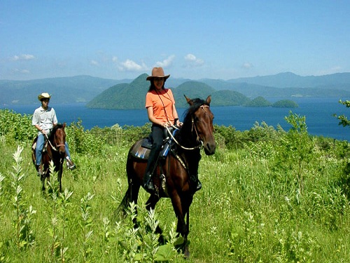 洞爺湖騎馬體驗