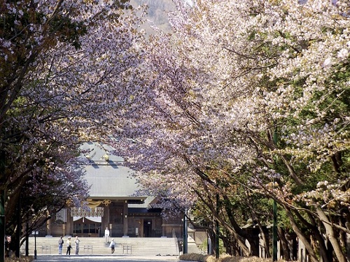 圓山公園+北海道神宮