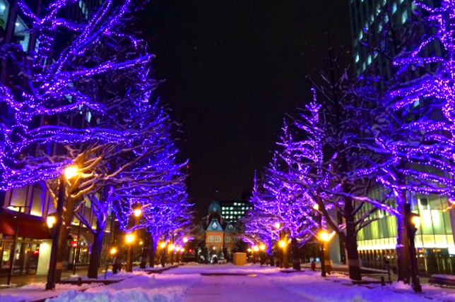 札幌白色燈樹節