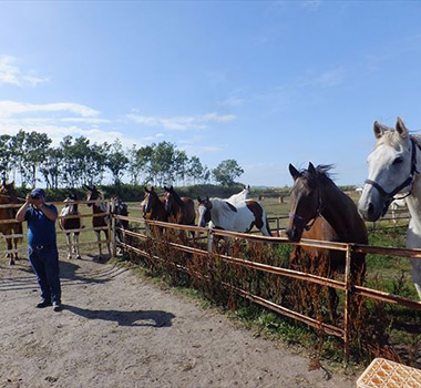 北海道騎馬體驗一覽